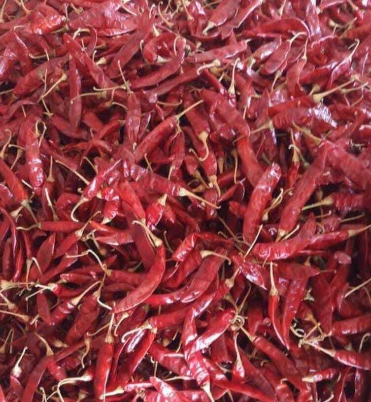 Dried Red Chilli - Raw First Class Pieces, Spicy Flavor, Bright Red Color, 1 Year Shelf Life, Ideal For Room Temperature Storage