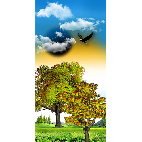 C-2 Membrane Printed Door Paper - High-Quality Plastic, Various Sizes Available, Glossy Finish, Moisture-Resistant Surface