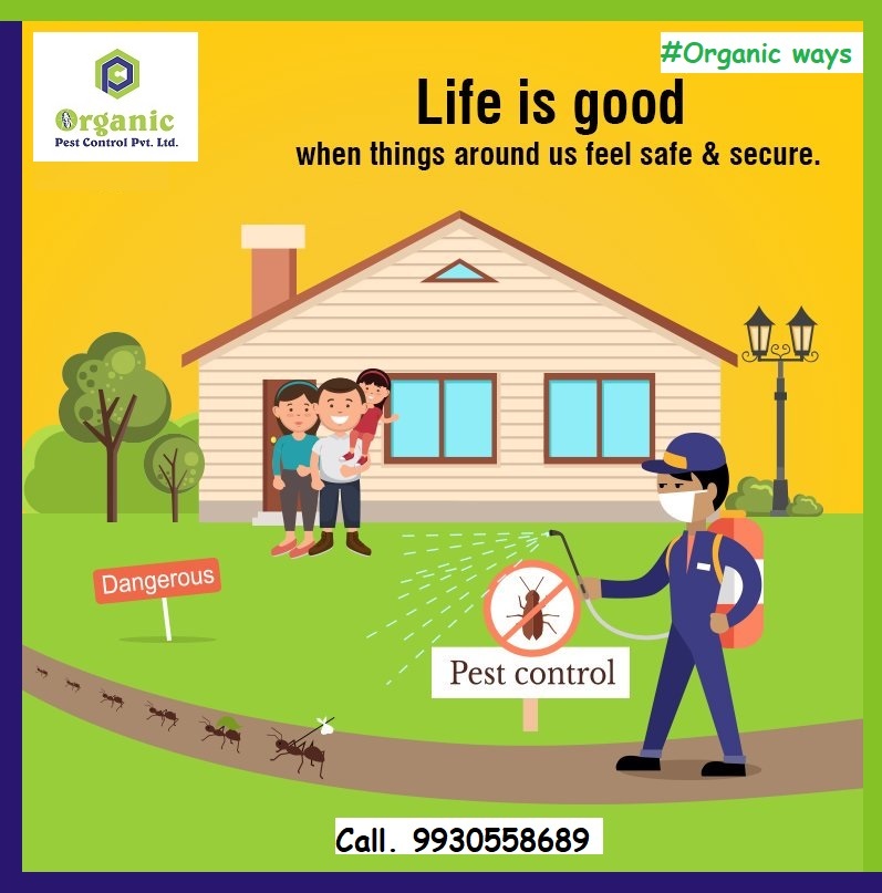 Ticks Pest Control Service