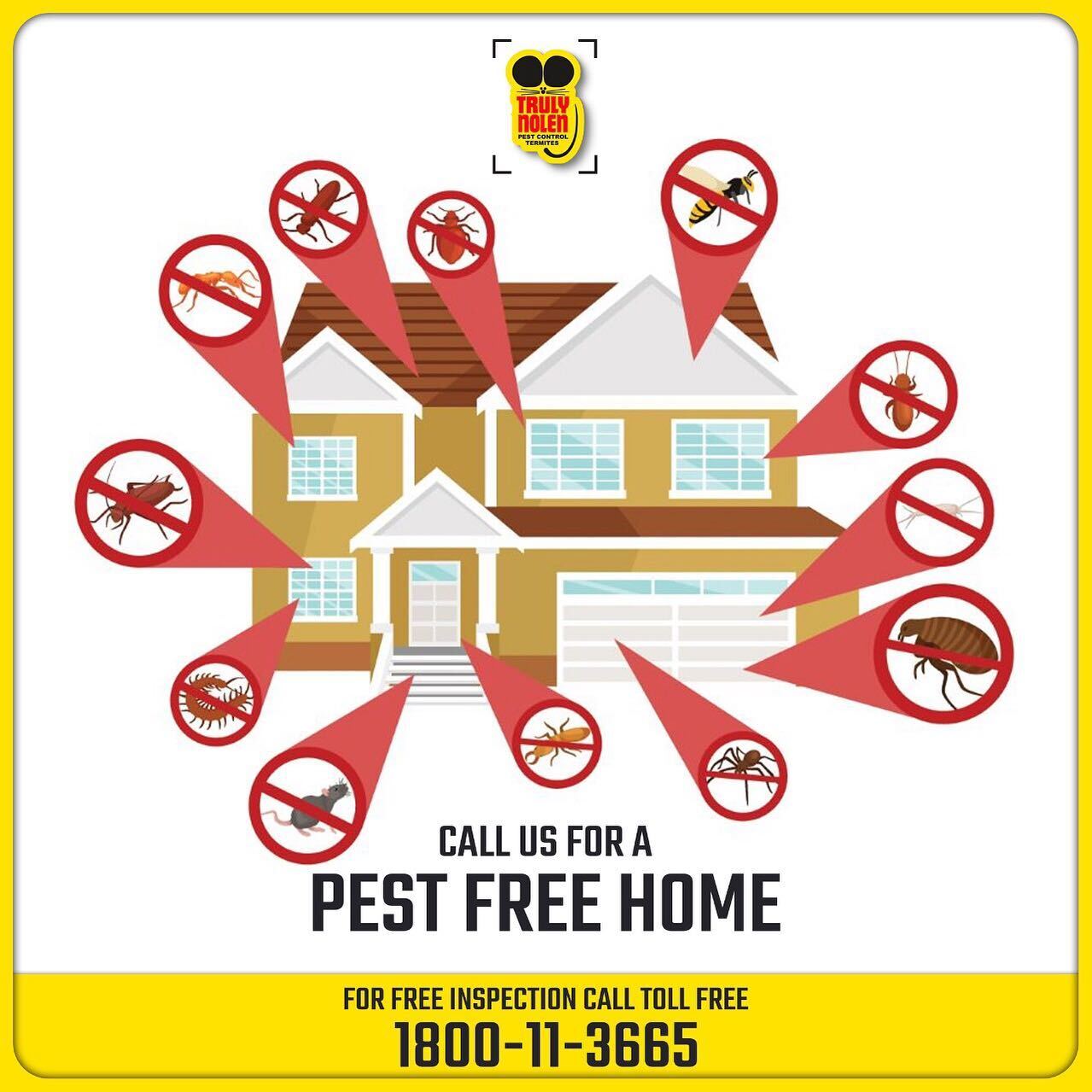 Spider Pest Control Service