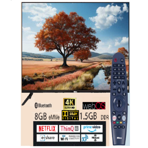 MiMaxx A1PRO-55WEB