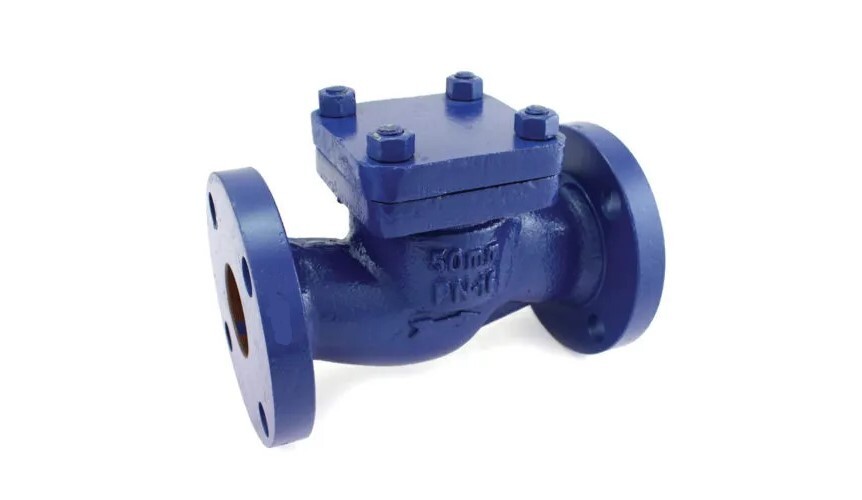 Lift Check Valve - Stainless Steel Body, 2-inch Size , Automatic Operation With Spring-assisted Closure