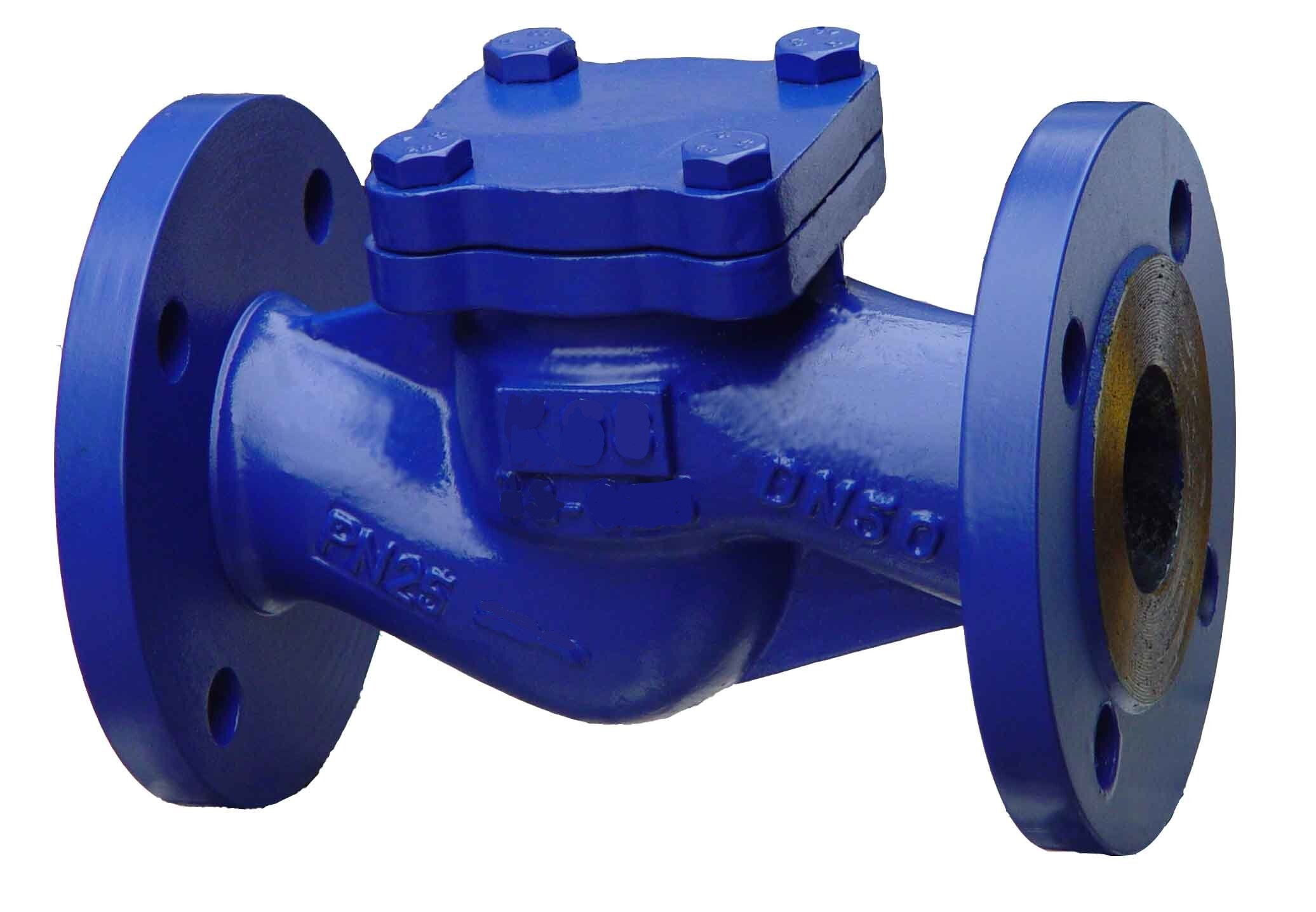 Lift Check Valve - Stainless Steel Body, 2-inch Size , Automatic Operation With Spring-assisted Closure
