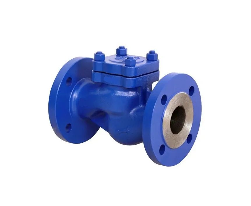 Lift Check Valve - Stainless Steel Body, 2-inch Size , Automatic Operation With Spring-assisted Closure