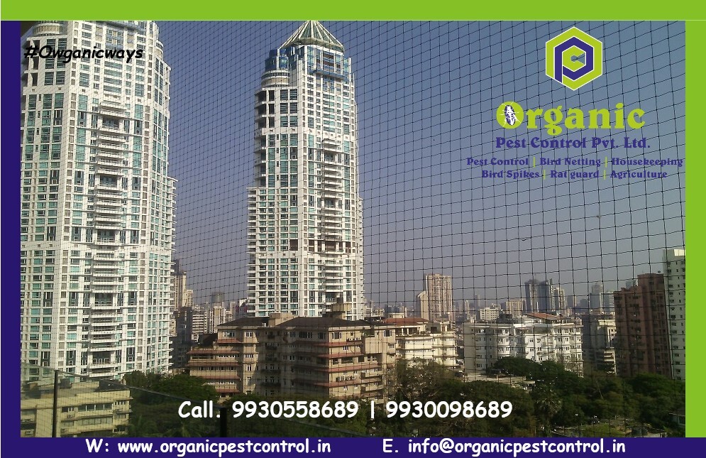 Bird Protection Netting - Color: Green