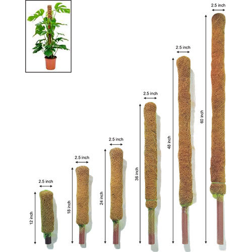 कोकोनट रेशे के खंभे