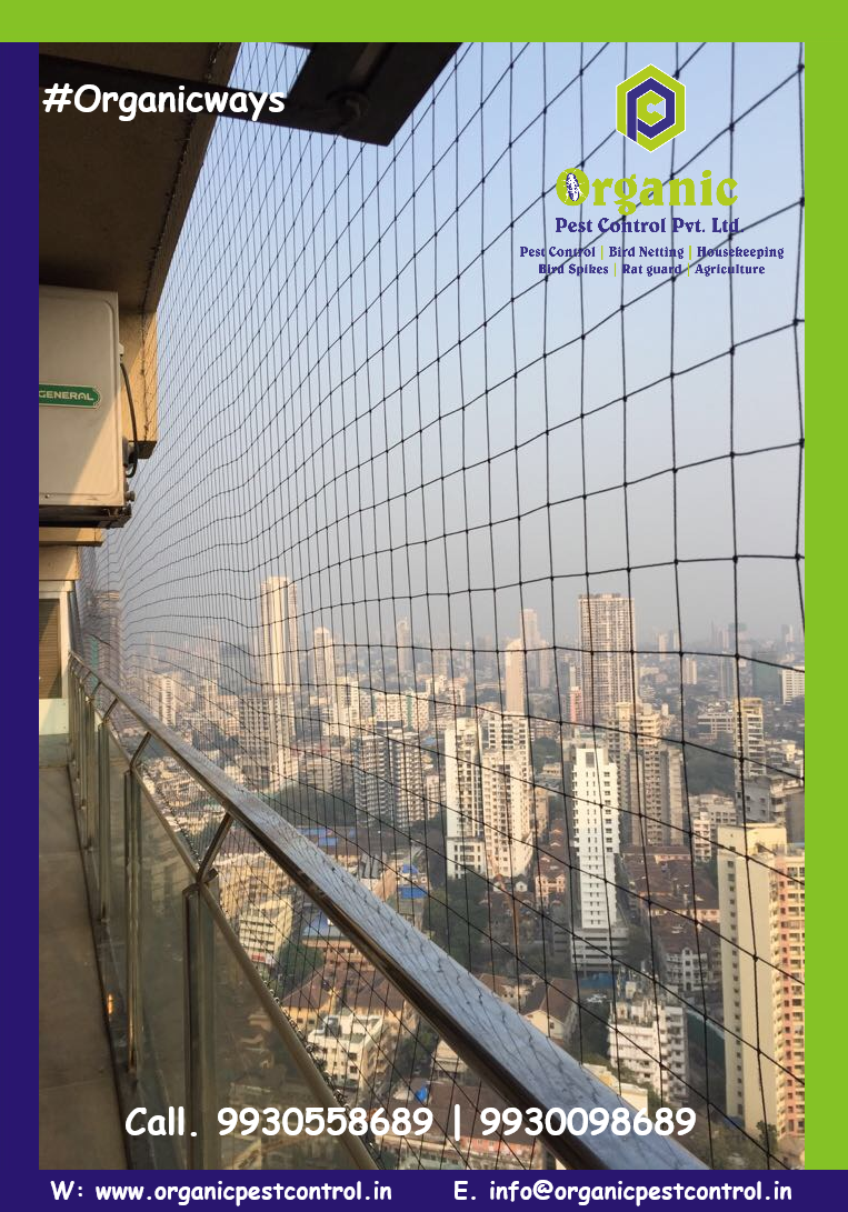 Safety Net Installation Service - Color: Green