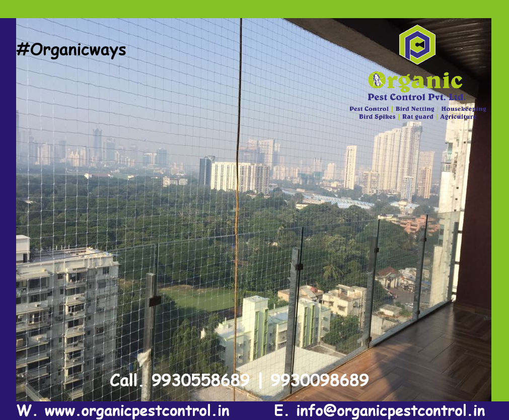 Bird Netting Service - Color: Green
