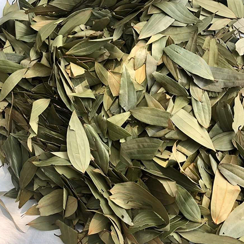 बे की पत्तियाँ -