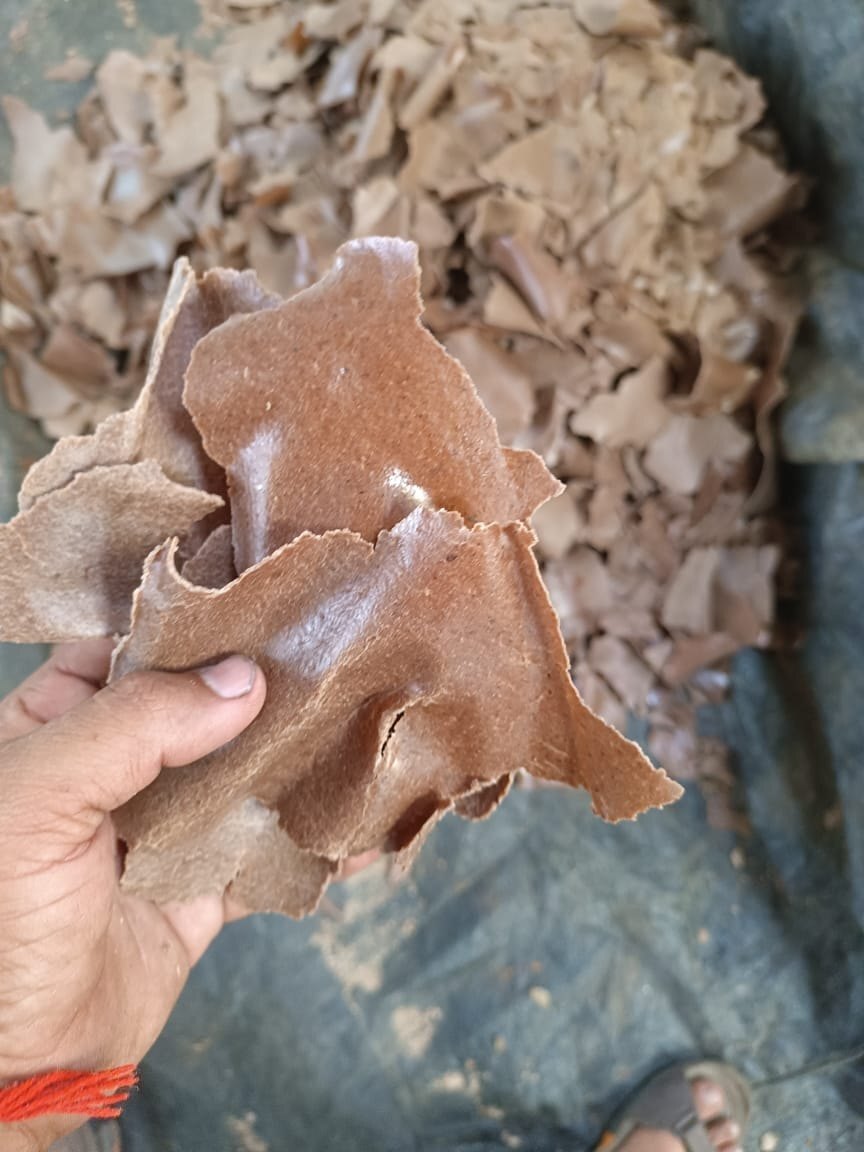 Groundnut Oil Cake - Cultivation Type: Organic