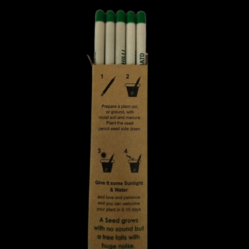 Plantable Paper Pencil - Color: Multicolor