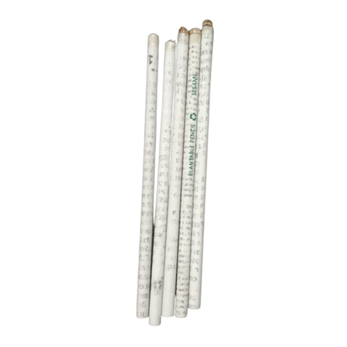 Plantable Newspaper Pencil - Color: Multicolor