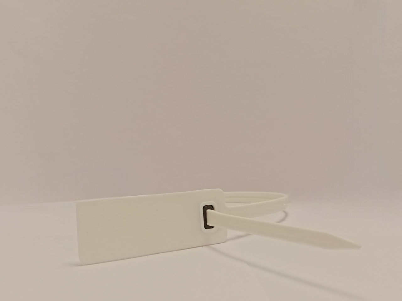 R Plastic Security Seal - Color: Various Available