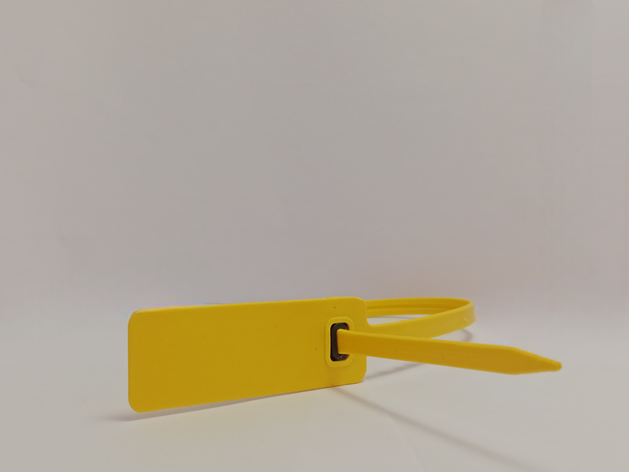 R Plastic Security Seal - Color: Various Available