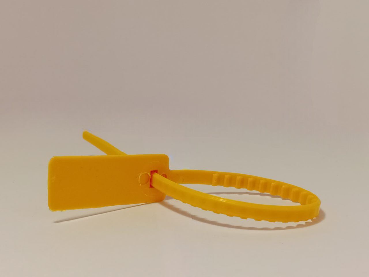 Ecs 01 10inch Self Locking Plastic Security Seal - Plastic, 10 Inch, Various Colors | Round Shape, Tamper Evident Design For Shipping Container Security