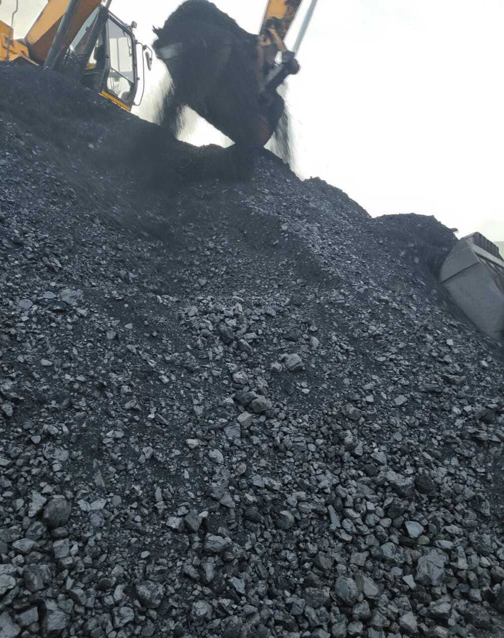 Indonesian Coal - Gcv 6410 Gar & Gcv 6500 | Premium Thermal Coals For Efficient Combustion, High Calorific Value, Low Ash Content
