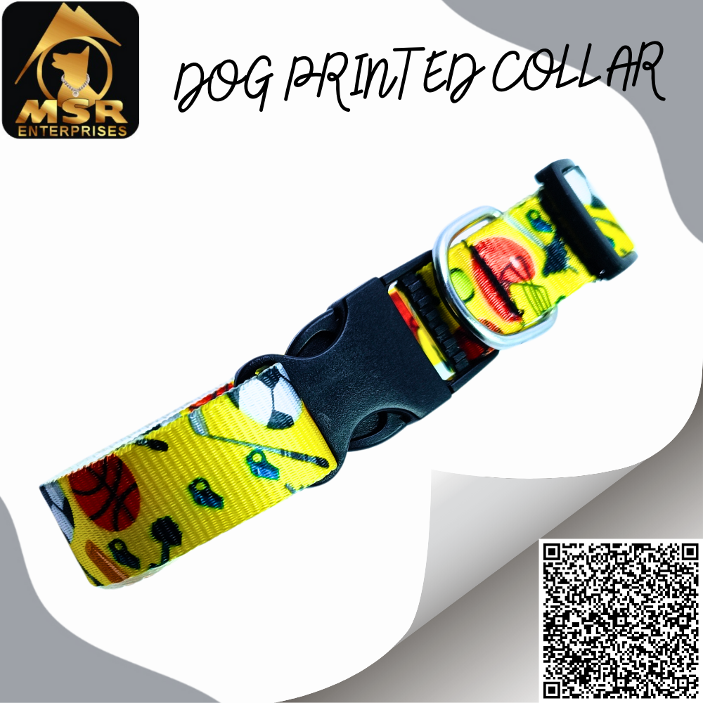 Adjustable Printed Dog Buckle Collar - Nylon, 1.25 Inch Size, Multicolor | High Quality, Secure Sr Buckle, Versatile Fit For All Dogs