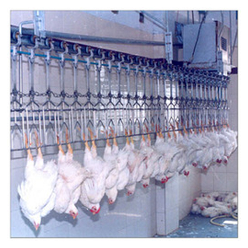 Conveyorized Poultry Dressing Or Slaughter Plant