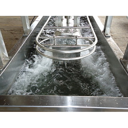 Hot Water Scalder Conveyor Model