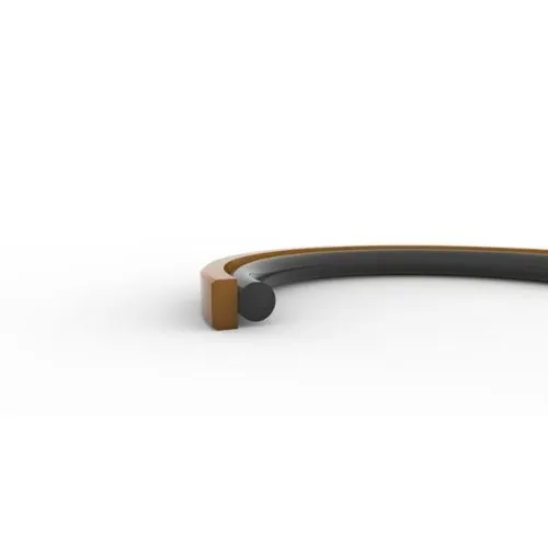 PTFE पिस्टन सील