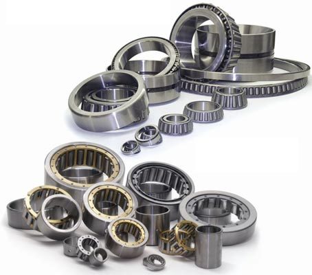 Bearings Seals