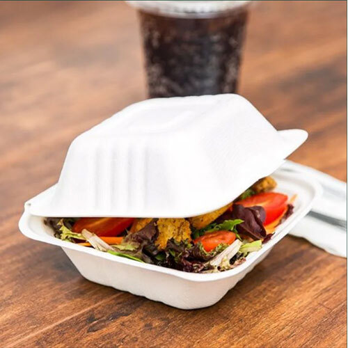 Clamshell Boxes - Sugarcane Bagasse, 8x8 Inch | White Color, Eco-Friendly Food Packaging Solution
