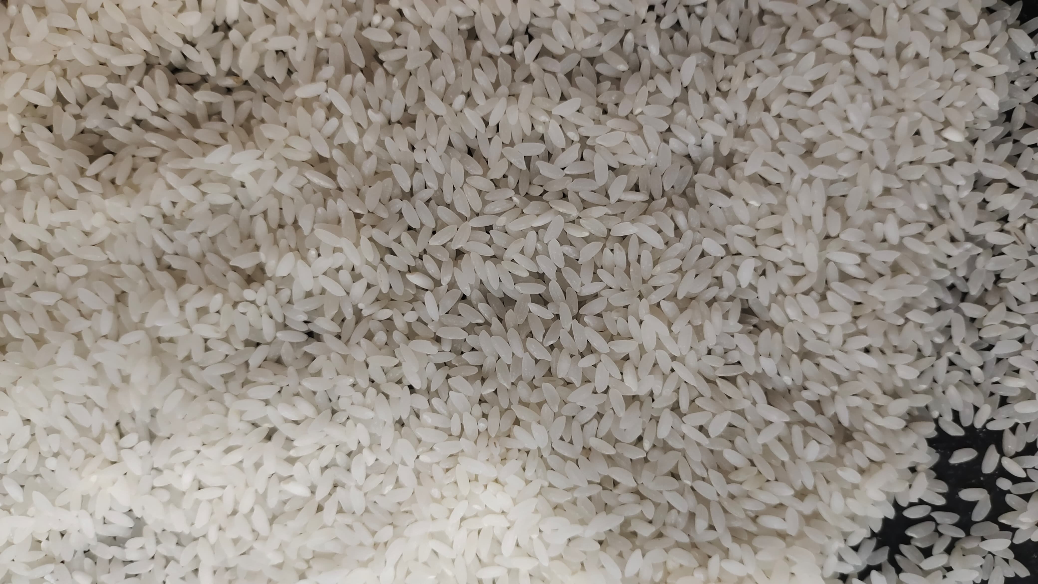 Gobindabhog Rice Old Crop - Color: White