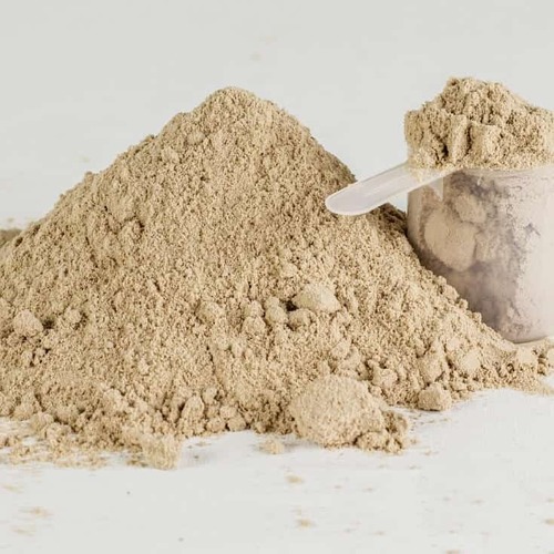 Protein Powder - With Milk Dosage, 18 Months Shelf Life | Increase Immunity, Promote Nutrition & Healthy Growth