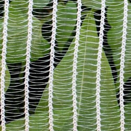 Anti Hail Net - High-quality Pvc, Various Sizes, Multiple Color Options | Durable Protection For Agriculture And Commercial Use, 1-2 Year Warranty