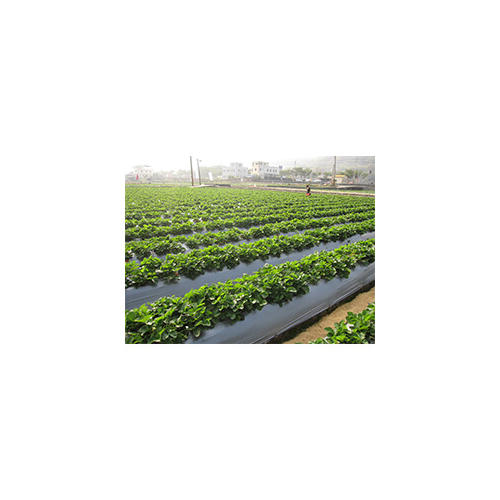 Agro Mulching Sheet - Frame Material: Pvc