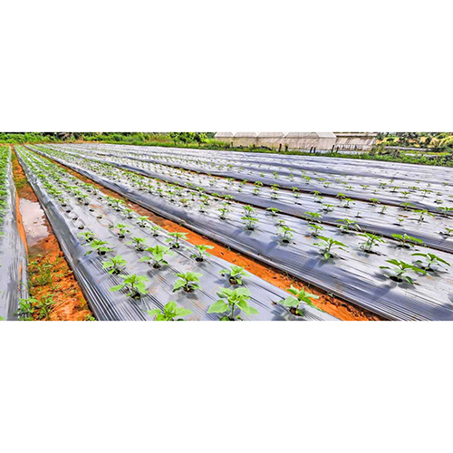 Agro Mulching Sheet - Frame Material: Pvc