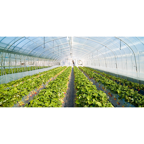 Nursery Shade Net - Coating Type: Polished