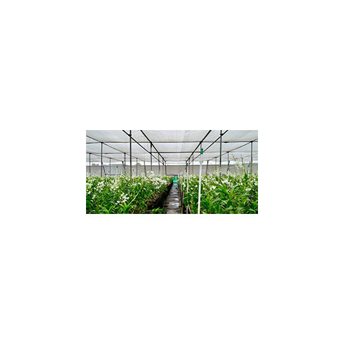 Tape Filament Shade Net - Hdpe Material, Coated Finish, Polished Coating, Available In Various Colors | Durable Shade Solution For Versatile Applications