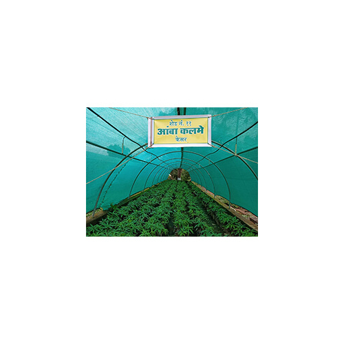 Tape Filament Shade Net - Hdpe Material, Coated Finish, Polished Coating, Available In Various Colors | Durable Shade Solution For Versatile Applications