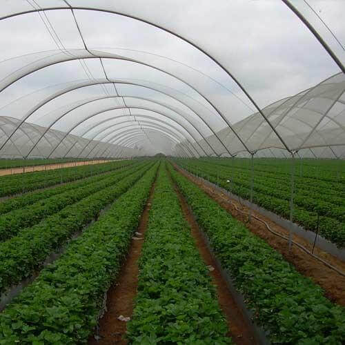 Hdpe Agro Shade Net - Coating Type: Polished