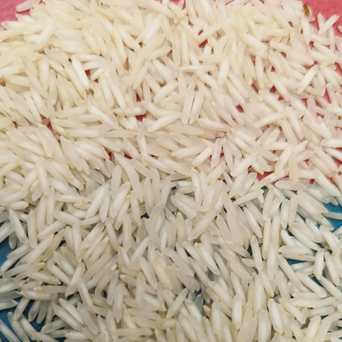 1121 Raw Rice - Cultivation Type: Common