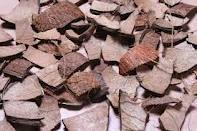 नारियल चिप्स