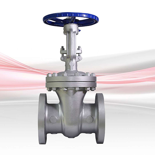 Cs Gate Valve - Material: Stainless Steel