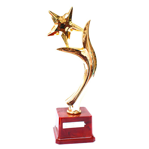 Metal Star Trophy - High-quality Metal, Customized Logo | Professional Art And Collectible In Various Colors