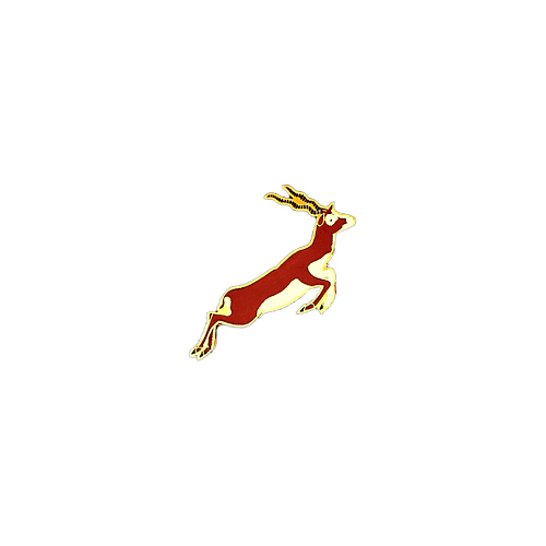 Metal Lapel Pin - Color: Multicolour