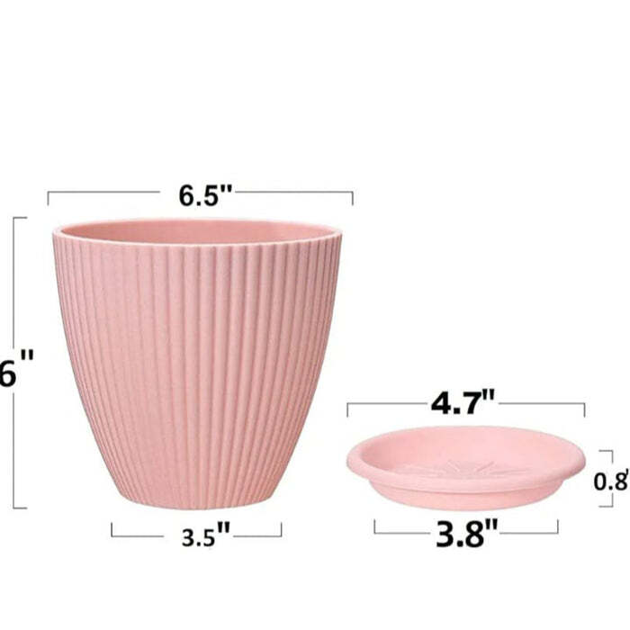 Round Plastic Flower Pot - 5 Pcs Set With Color Box | Bottom Tray Included, Ideal For Indoor And Outdoor Gardening