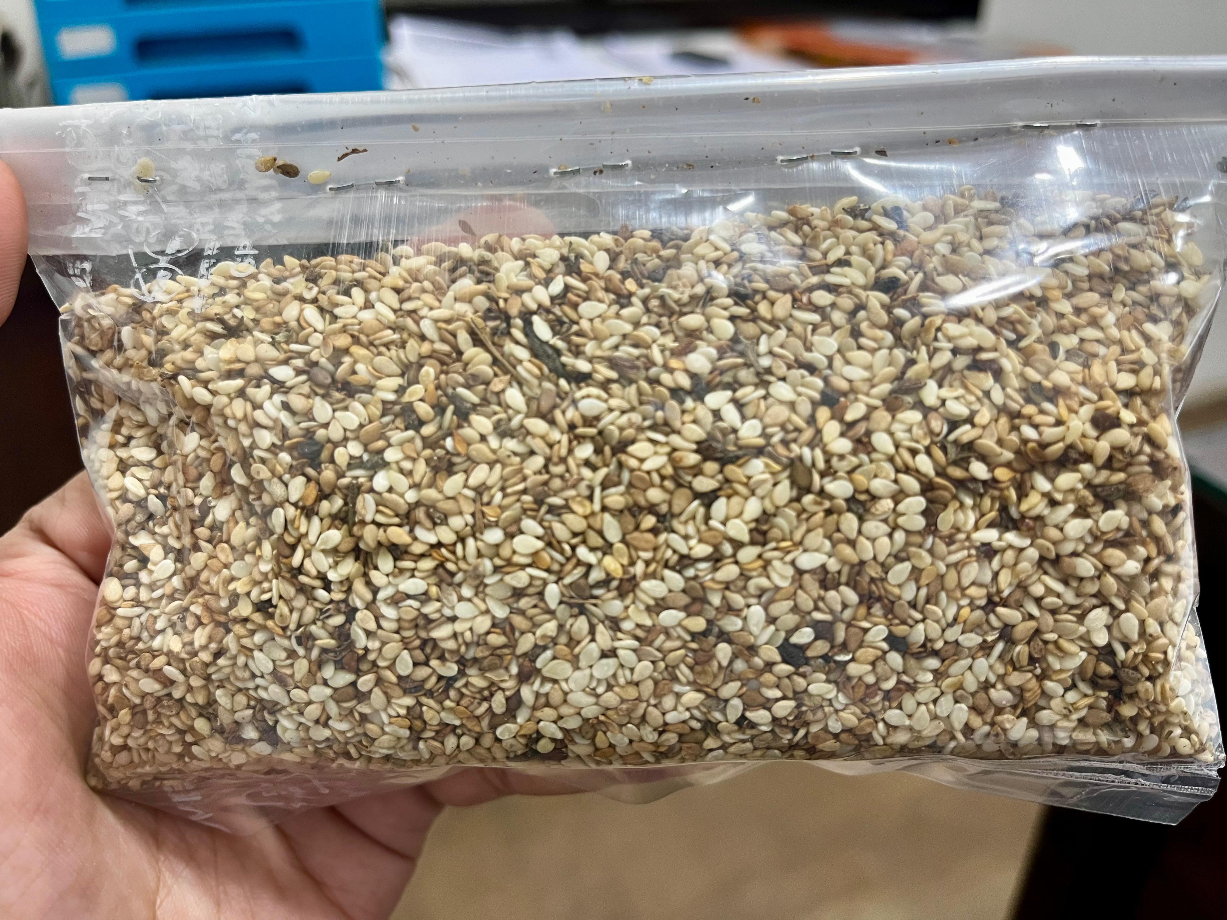Sesame Seeds
