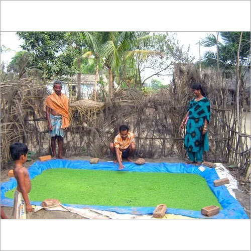  अज़ोला शीट