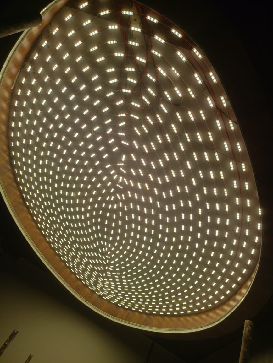 Jungle Design Stretch Ceiling Service - Color: Any