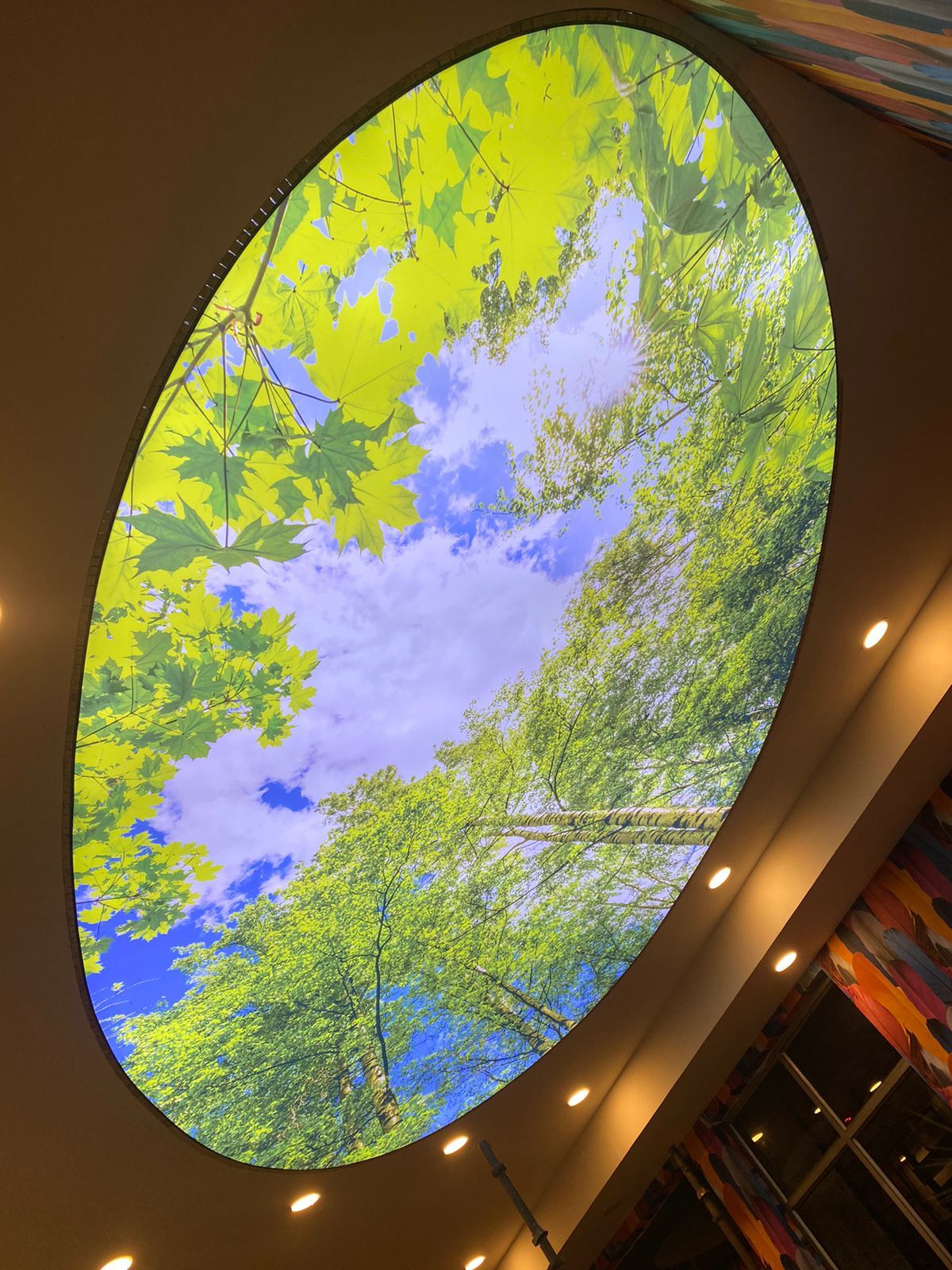 Forest Design Stretch Ceiling - Color: Any
