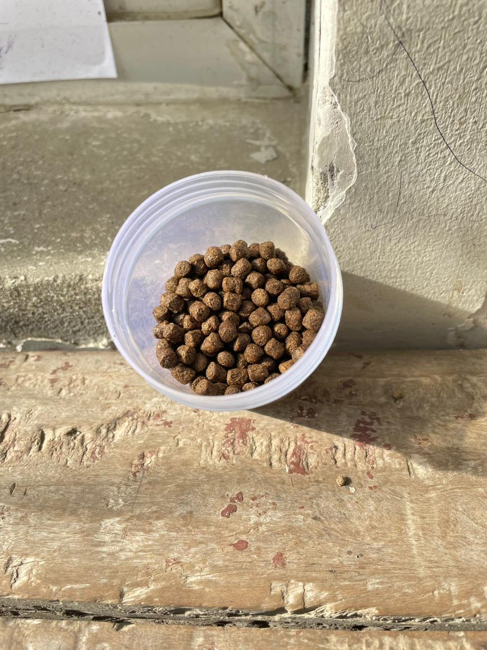 4mm Floating Fish Feed - Color: Brown
