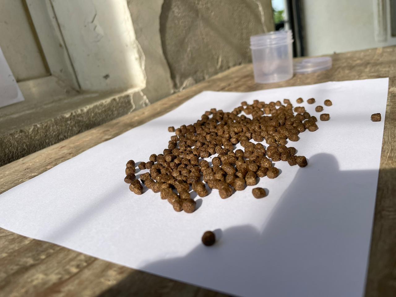 4mm Floating Fish Feed - Color: Brown
