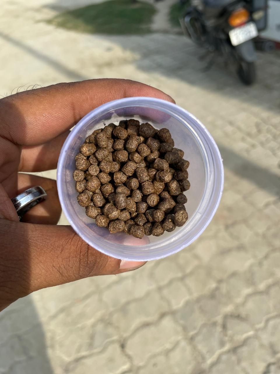 4mm Floating Fish Feed - Color: Brown