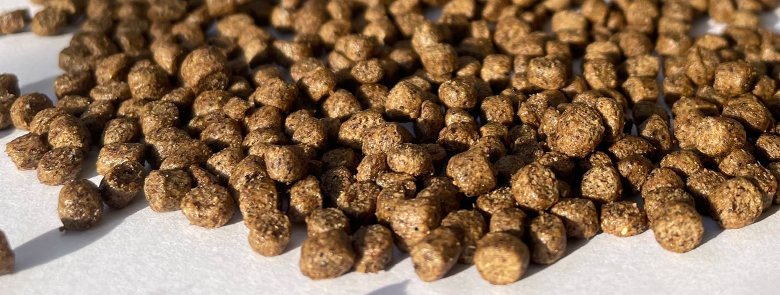 3mm Floating Fish Feed - Color: Brown