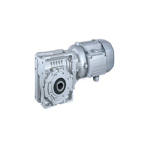 W Series Worm Hollow Type Gear Motor - Color: Silver